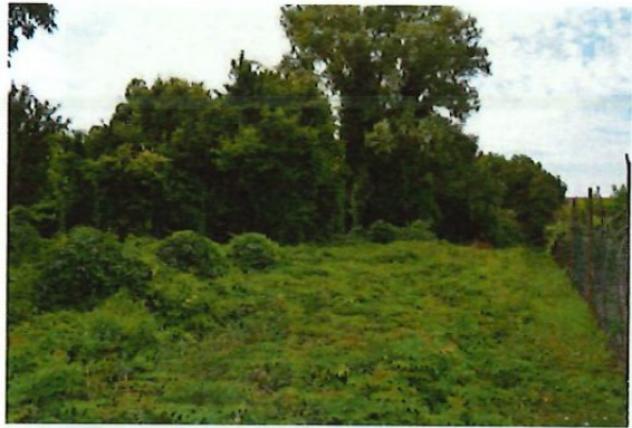 R.G.E. 78/2025 Verona - Foto 10