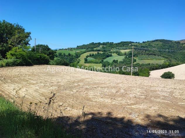 Terreno agricolo, bosco e capanno - Foto 4
