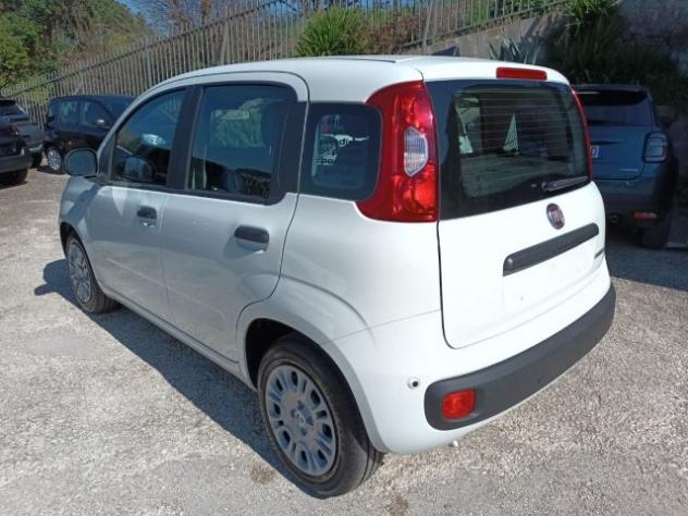FIAT Panda 1000 HYBRID PANDINA ICON 65CV PACKCITY ITALIA rif. 23999337 - Foto 4