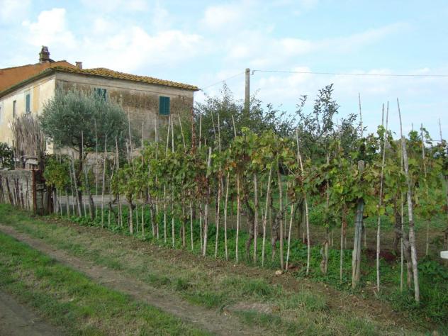 Colonica in vendita a Larciano 240 mq Rif: 885505