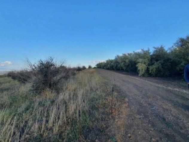 Immobile in asta di 37140 m² in vendita a Carlentini - Foto 5