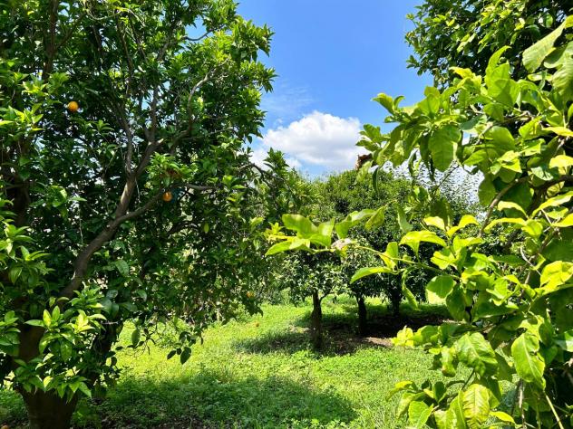 Terreno in vendita a Aci Sant'Antonio