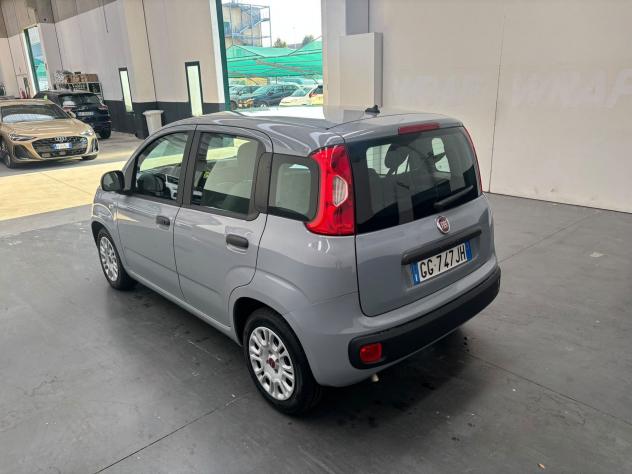 FIAT Panda Panda 1.0 firefly hybrid s&s 70cv 5p.ti - Foto 6