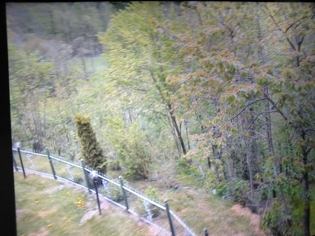 Affitto montagna val di Viu luglio/agosto