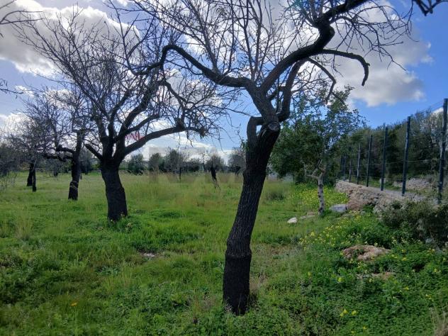Terreno Edificabile in vendita a Avola - Foto 6