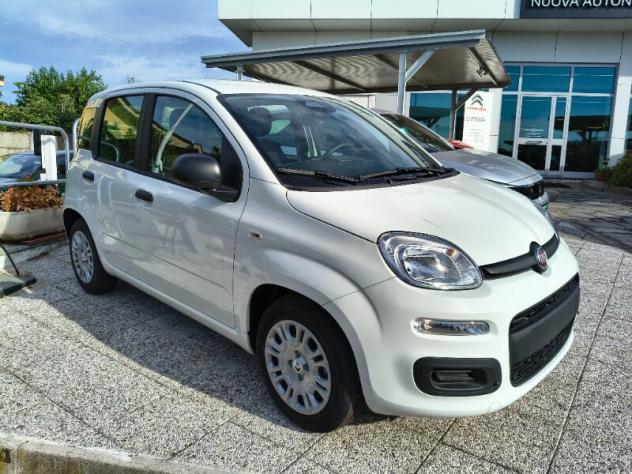 FIAT Panda 3ª serie Panda 1.0 FireFly S&S Hybrid Icon - Foto 3