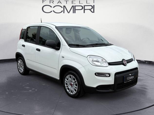 FIAT Panda 1.0 FireFly 70cv S&S Hybrid - Foto 2
