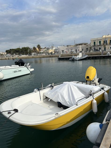 Boston Whaler 110 Sport
