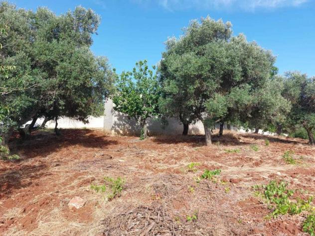 Indipendente in vendita a Ceglie Messapica - Foto 3