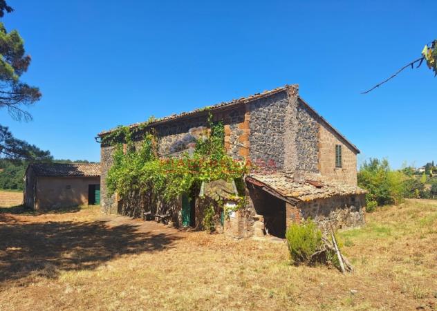Lubriano - Sul confine tra Orvieto e Lubriano, casale con annessi e 11 ha di terreno in vendita.