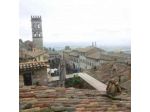 Trattoria Pallotta di Balducci Margherita & C S.a.s.