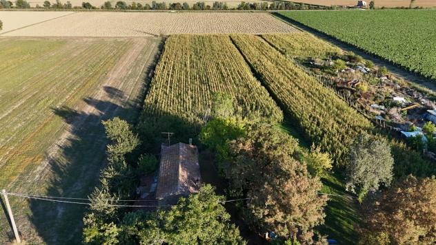 Rustico rurale nelle campagne di Lugo che profuma di tradizione e libertà - Foto 10