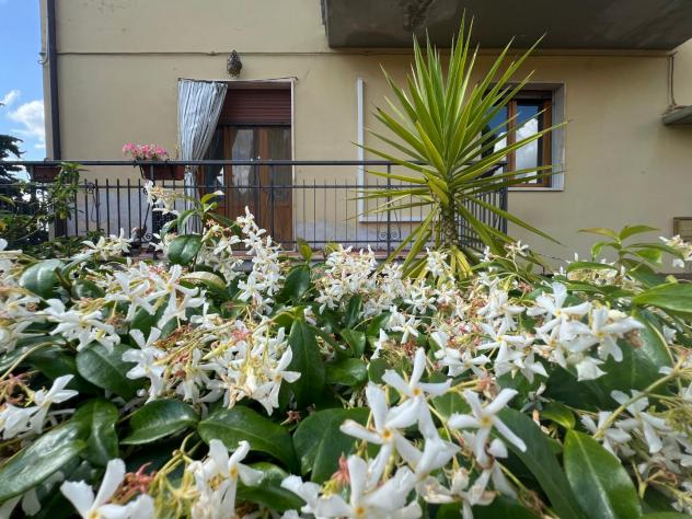 appartamento in vendita a Montespertoli in zona Montegufoni