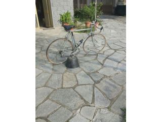 Annunci bici da corsa per uomo a Torino - Bakeca.it