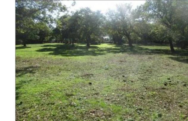 Immobile in asta di 4134 m² in vendita a Abbasanta - Foto 12