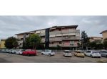 Appartamento in vendita a Grosseto 150 mq  Rif: 1425072