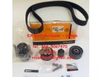 Kit distribuzione e pompa Audi 2.0 TDi 03G198119
