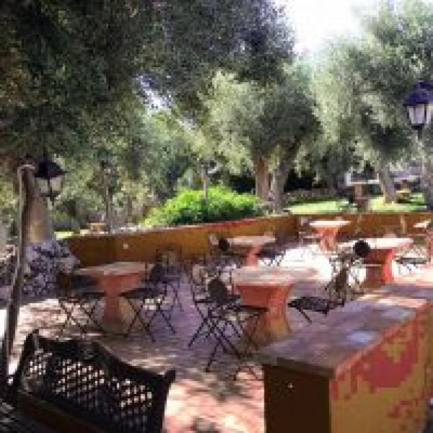 Agrimilo Societa' Agricola - Foto 4