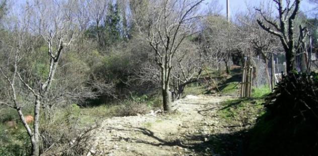 Immobile in asta di 4300 m² in vendita a Cerchiara di Calabria - Foto 6