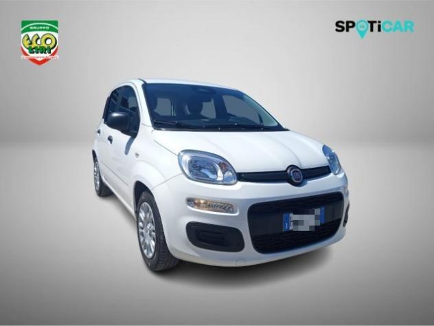 FIAT Pandina 1.0 65 CV Hybrid Icon+GPL rif. 24175574 - Foto 3