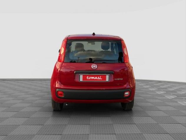 FIAT Pandina Pandina 1.0 FireFly 65 CV Hybrid Icon rif. 24122052 - Foto 8