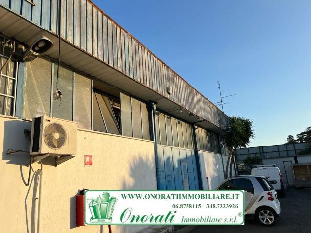 MQ 227 ROMA, TORRE ANGELA FRONTE GRA, Rif.A-914.