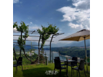 Hotel Ristorante Gelateria Viridis