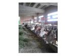 Azienda Agricola in Val d''Enza
