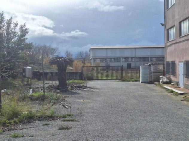 Immobile in asta di 740 m² in vendita a Spezzano Albanese - Foto 10