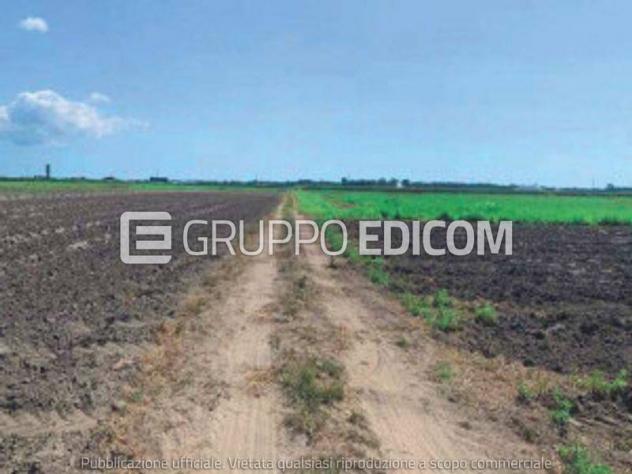 Terreno in vendita a Codigoro - Rif. 4551917 - Foto 3