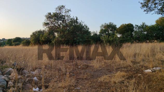 Terreno in vendita a Ragusa, Marina di Ragusa - Foto 7