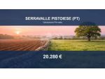 Immobile in asta di 15126 m² in vendita a Serravalle Pistoiese