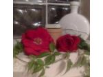 B&B Ciliegio Felice