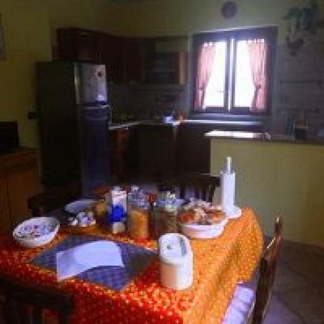 Carpe Diem - Foto 2