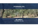 Immobile in asta di 18867 m² in vendita a Stornara