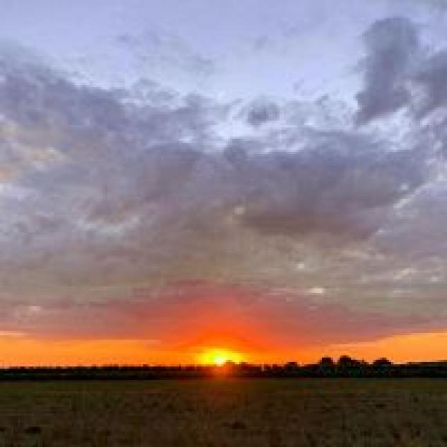 Azienda Agricola Casal Duca di Tribuzio Vincenza