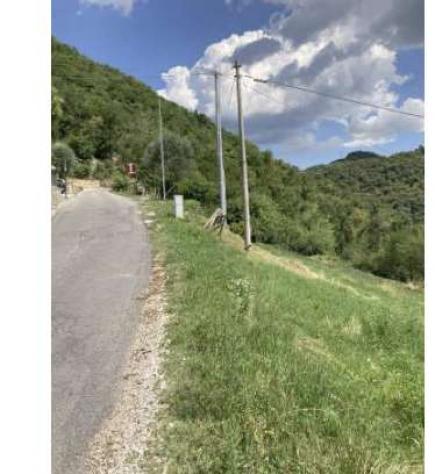 206/2025 2 BS - Terreni in asta in zona collinare a Botticino - Foto 7