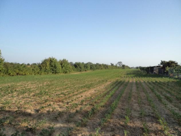 Terreno edificabile in vendita a Villanova di Camposampiero