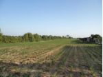 Terreno edificabile in vendita a Villanova di Camposampiero
