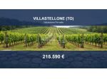 Immobile in asta di 38651 m² in vendita a Villastellone