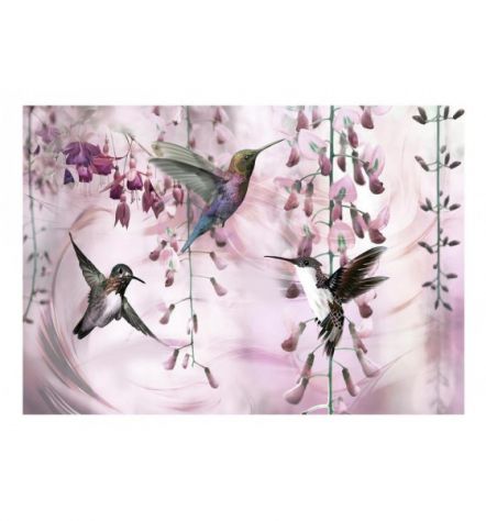 Fotomurale Adesivo Con 3 Colibrì. Sfondo Rosa Arredalacasa - Foto 2