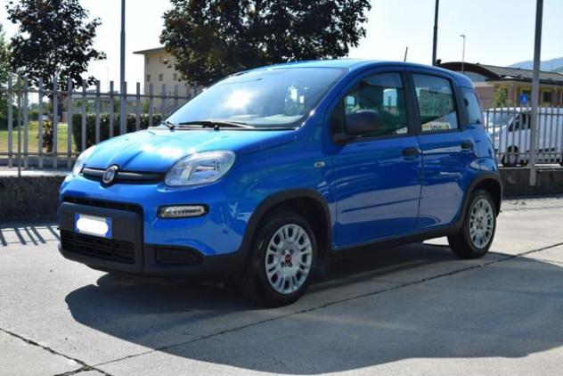 FIAT Panda 1.0 Firefly Hybrid 70cv S&S rif. 23944860 - Foto 3