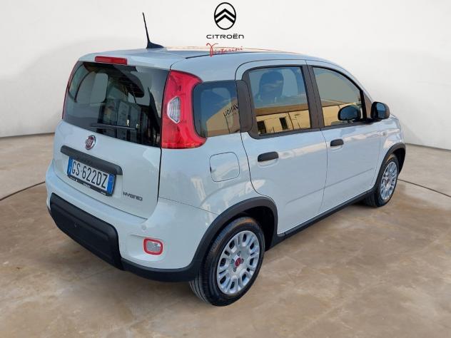 FIAT Panda PREZZO REALE NO VINCOLI / 1.0 Hybrid 70cv 5 posti - Foto 2