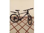 Bici elettrica