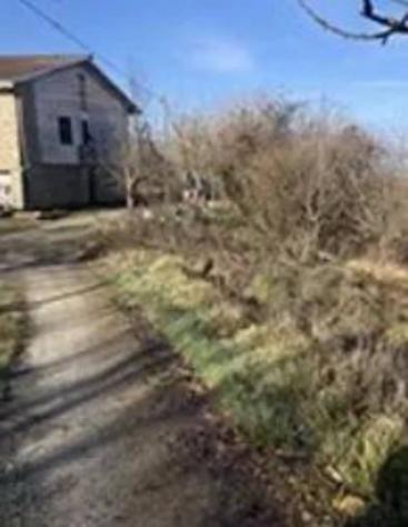 Immobile in asta di 501 m² con più di 5 locali in vendita a Morsasco - Foto 9