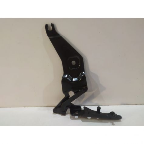 BMW X5 E70 / X6 E71 Cerniera Del Cofano R - 15527