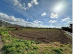 Agricolo in Via Sauda Vicinale Vairano
