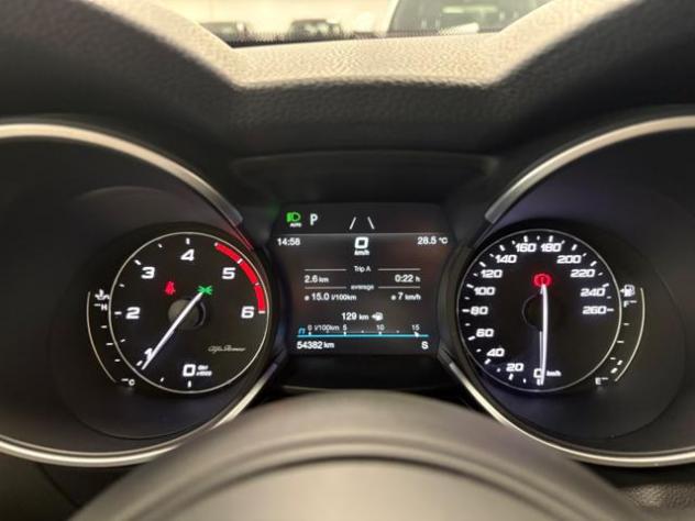 ALFA ROMEO Stelvio 2.2 Turbodiesel 160 CV AT8 RWD Business rif. 24043967 - Foto 10