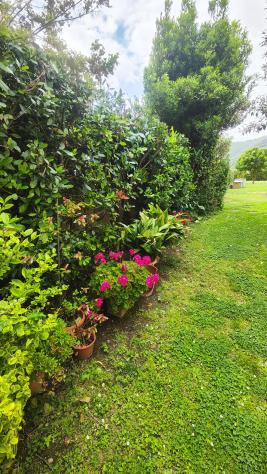 Duplex in vendita a Asciano - San Giuliano Terme 115 mq Rif: 1413985 - Foto 3