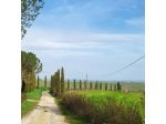 Terratetto in vendita a Monsindoli - Monteroni d'Arbia 102 mq  Rif: 1352116